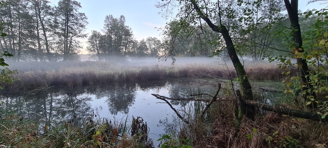 Dolina rzeki Grabi w obszarze Natura 2000