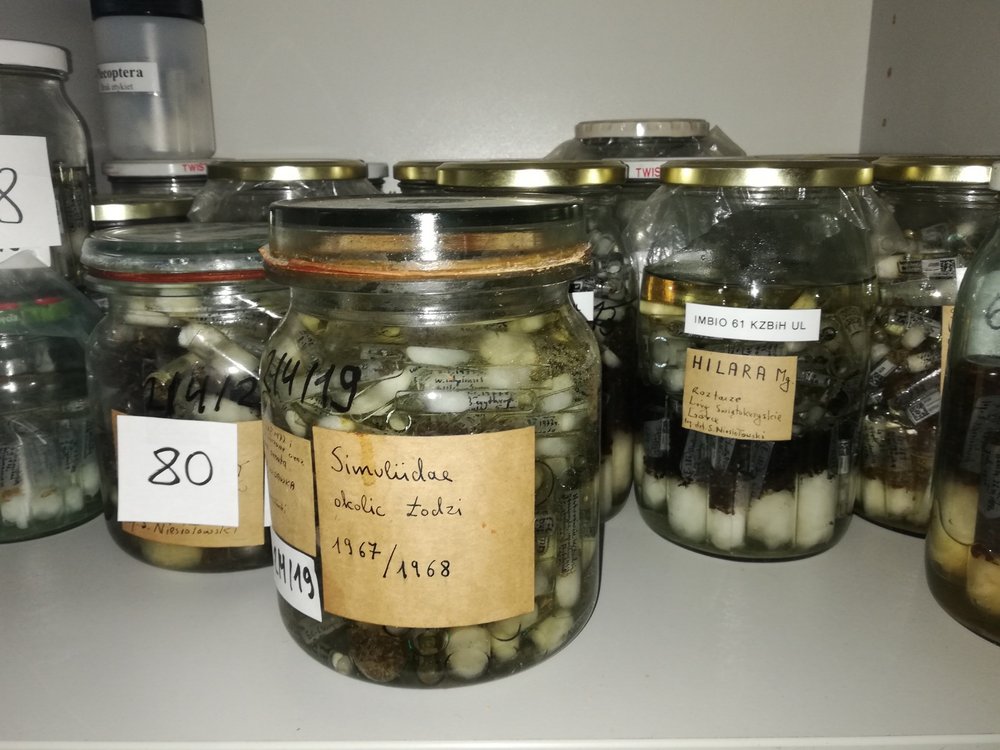 [Translate to English:] 2