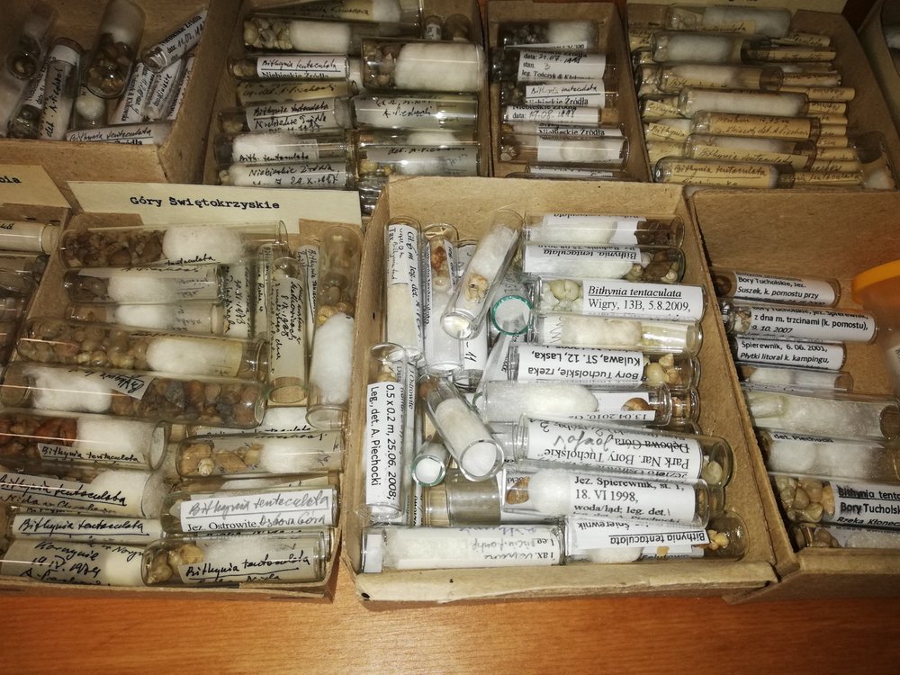 [Translate to English:] 2