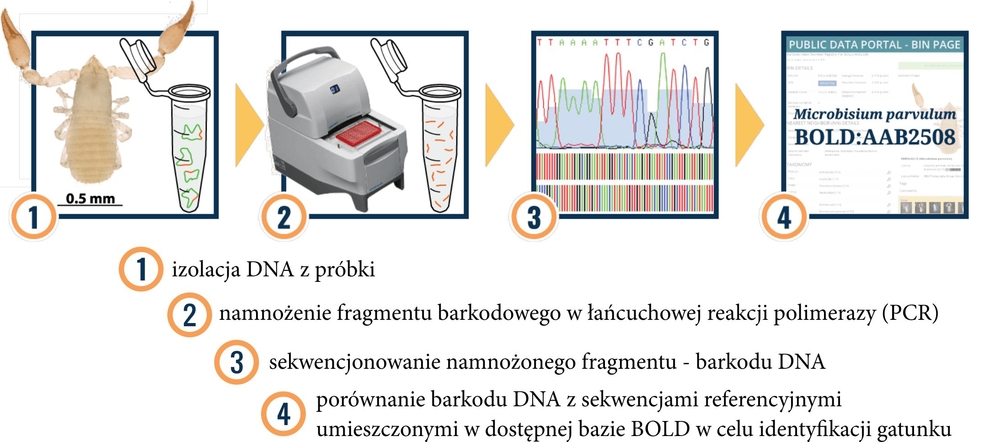 barcoding