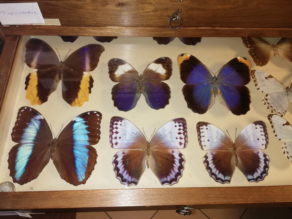 [Translate to English:] 2